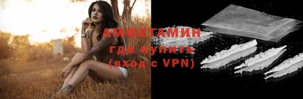 индика Абаза