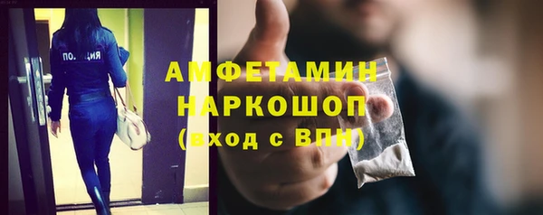 индика Абаза