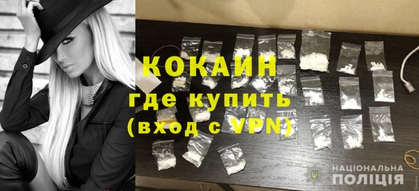 индика Абаза