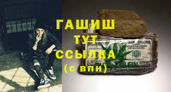 индика Абаза