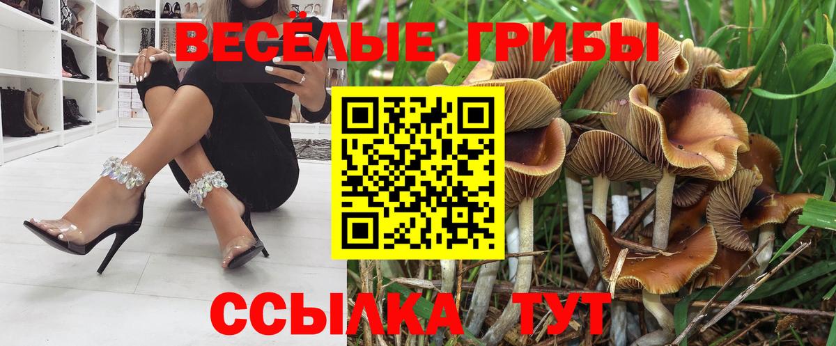 магазин    Вход с VPN  Североморск  Галлюциногенные грибы MAGIC MUSHROOMS 