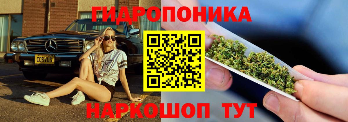 Канабис VHQ  Бошки Шишки Amnesia  Вход с VPN  Североморск 